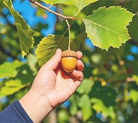 特定非営利活動法人 ファーナウ 21